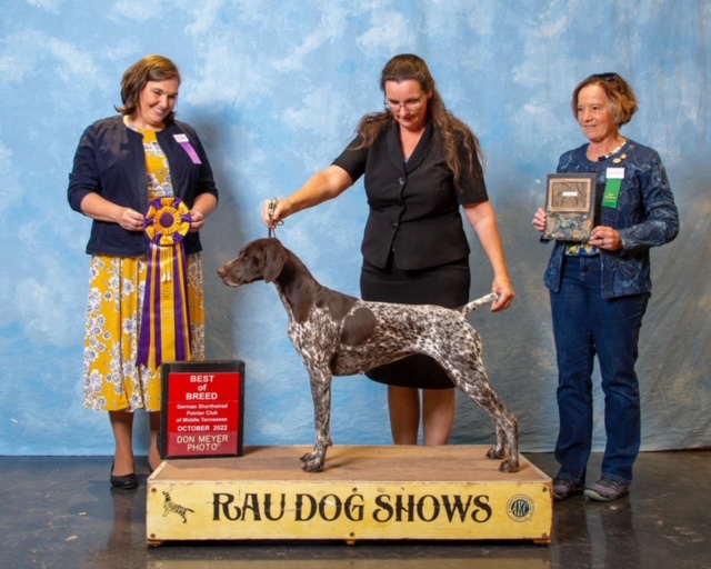 Best of Breed